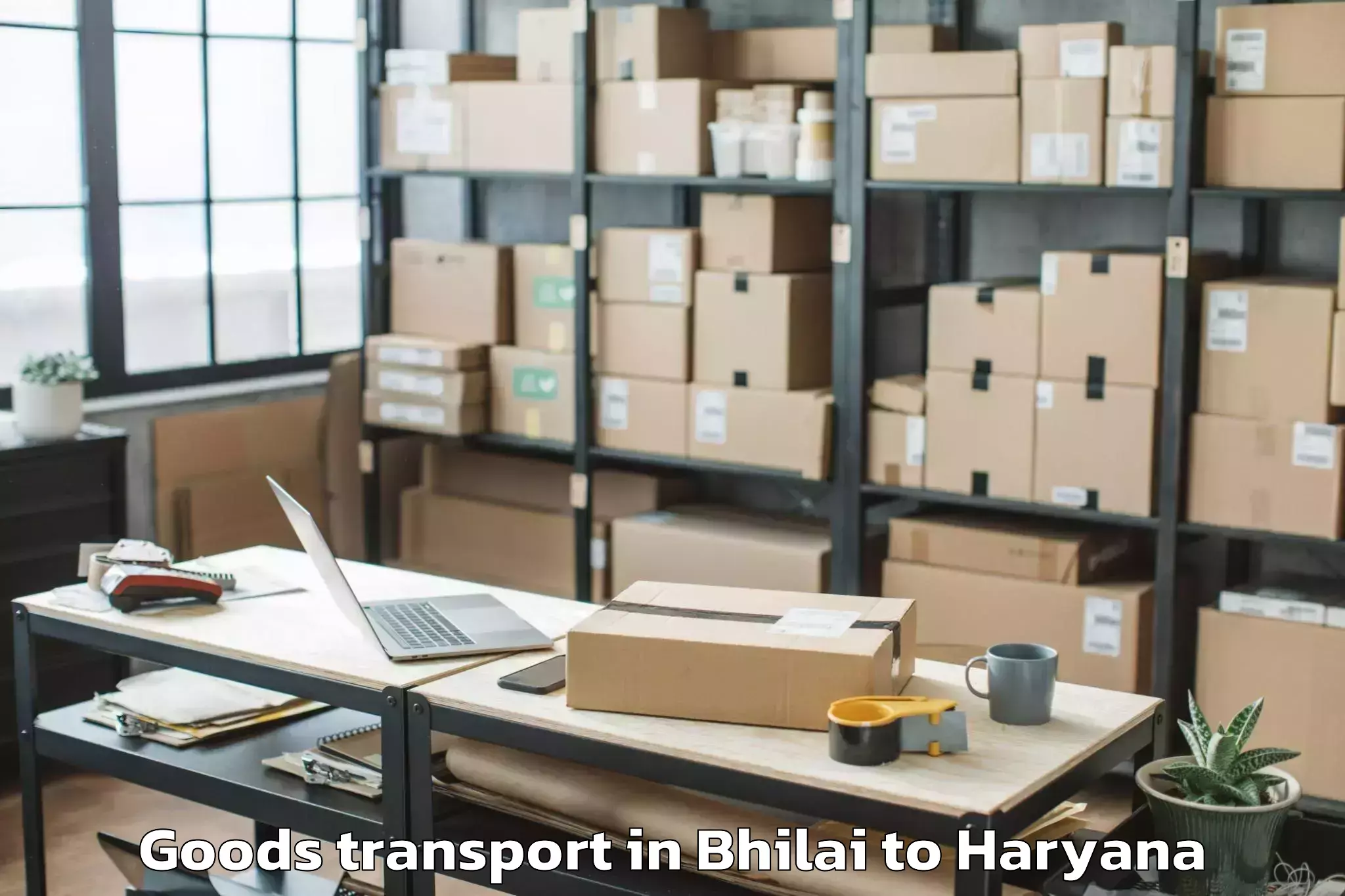 Comprehensive Bhilai to Tdi Mall Sonipat Goods Transport